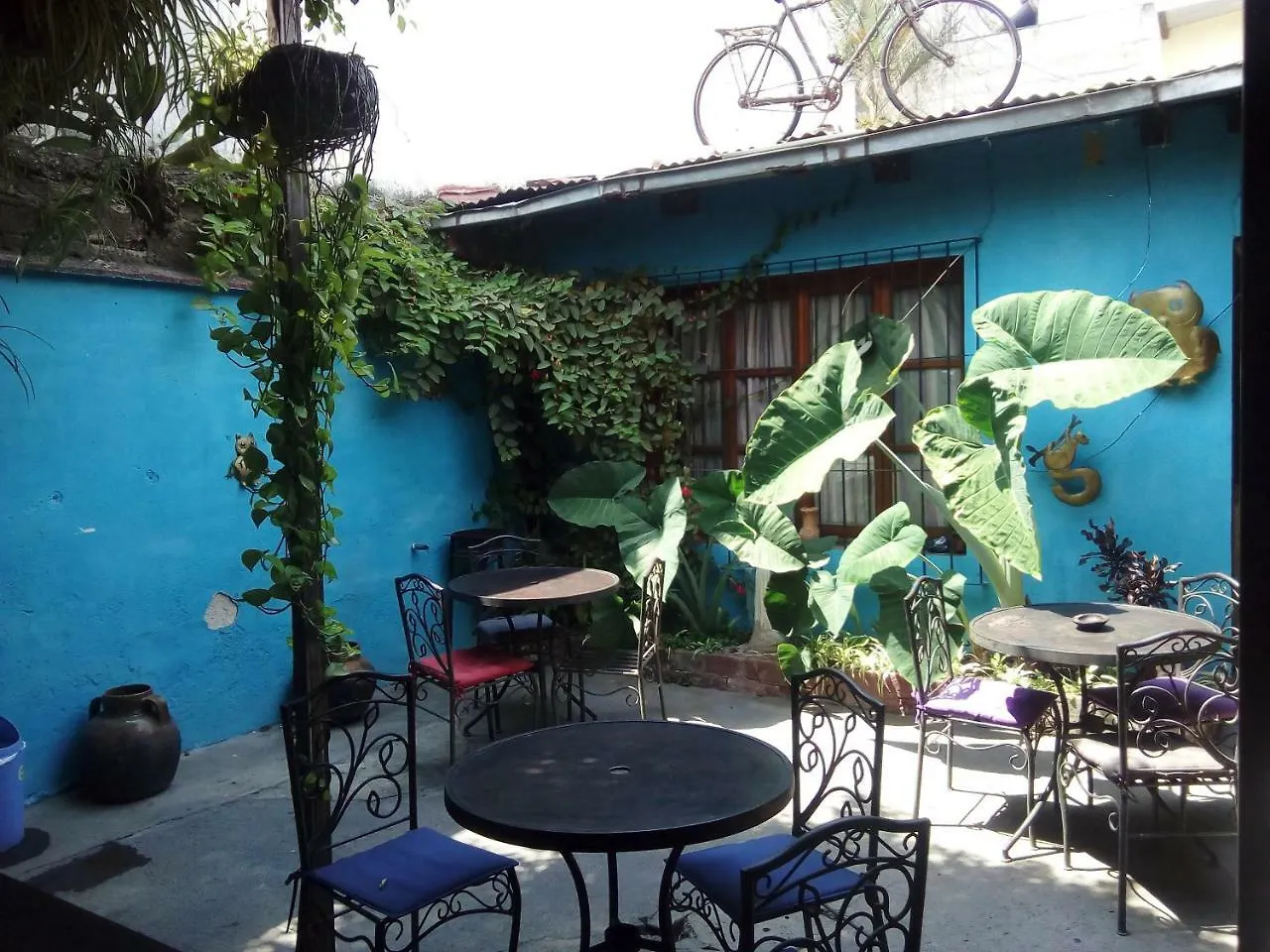 Hostal Onvisa contacts